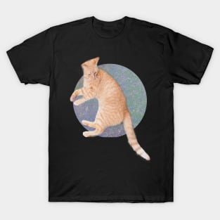 Cat Lounging T-Shirt